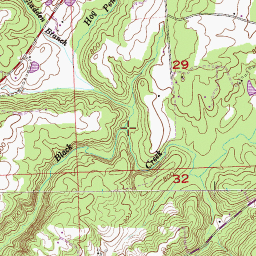 Topographic Map of Hog Pen Branch, AL