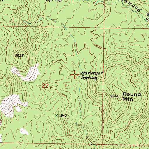 Topographic Map of Surveyor Spring, AZ