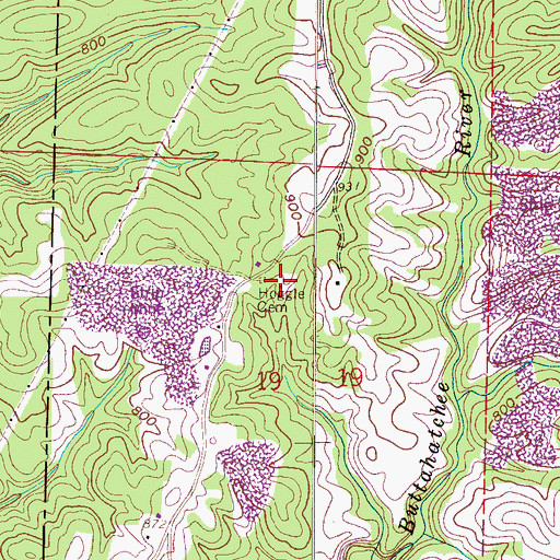 Topographic Map of Hoggle Cemetery, AL