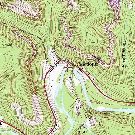 Topographic Map of Caledonia Run, PA