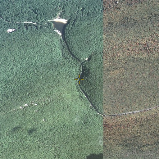 Aerial/Satellite Image of Rapid Run Gap, PA
