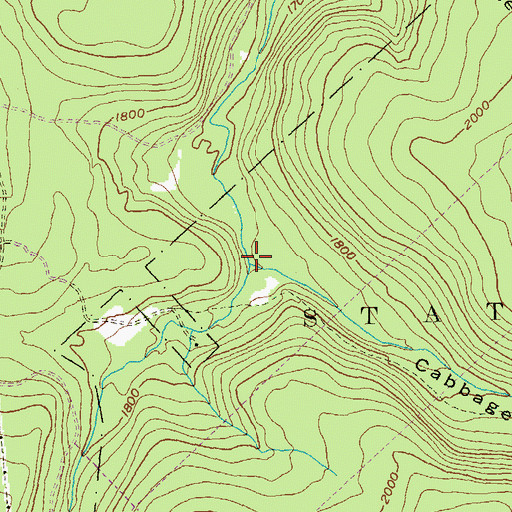 Topographic Map of Cabbage Hollow Run, PA