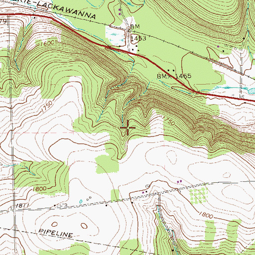 Topographic Map of Swamp Run, PA