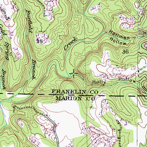 Topographic Map of Holly Hollow, AL