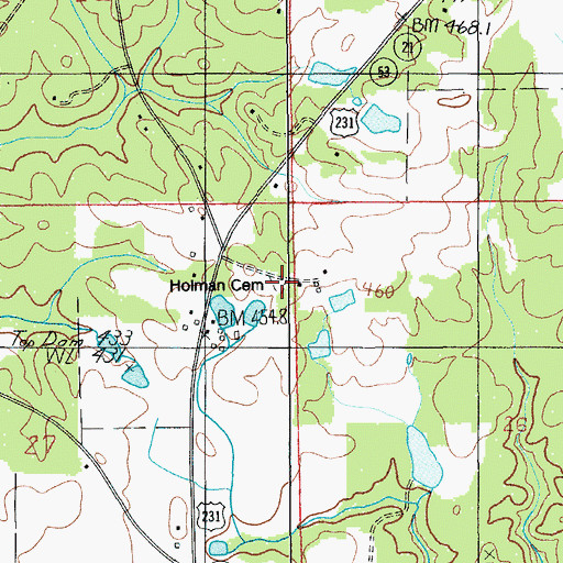 Topographic Map of Holman Cemetery, AL