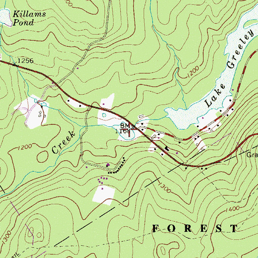 Topographic Map of Selma Lake, PA