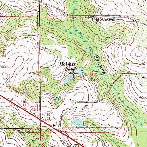 Topographic Map of Holmes Pond, AL