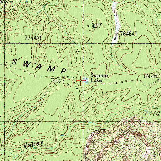 Topographic Map of Swamp Lake, AZ