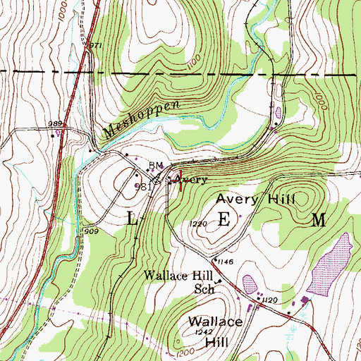 Topographic Map of Avery, PA