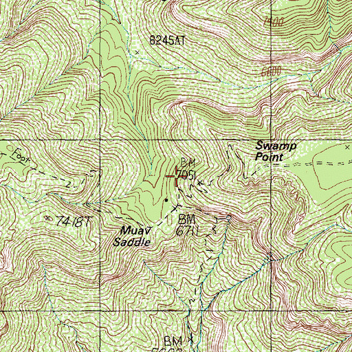 Topographic Map of Swamp Point, AZ