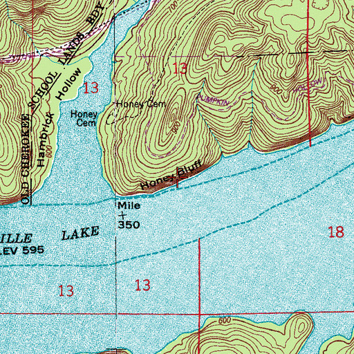 Topographic Map of Honey Bluff, AL