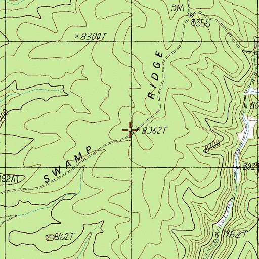 Topographic Map of Swamp Ridge, AZ