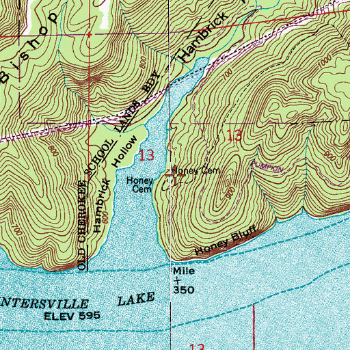 Topographic Map of Honey Cemetery, AL