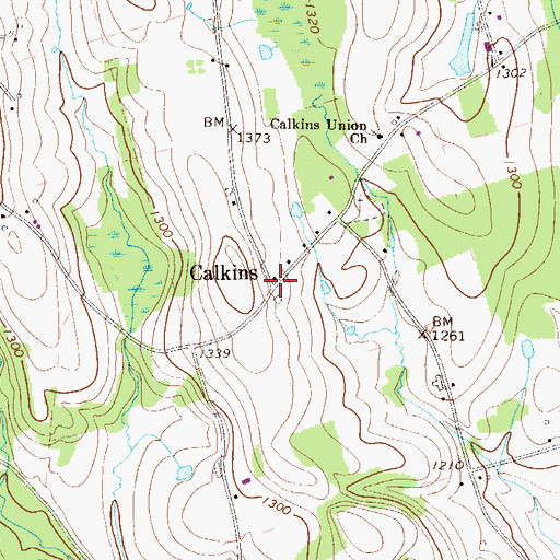 Topographic Map of Calkins, PA
