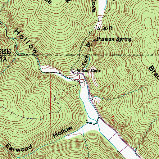 Topographic Map of Honey Hollow, AL