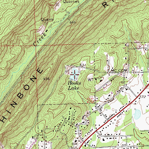 Topographic Map of Hooks Lake, AL