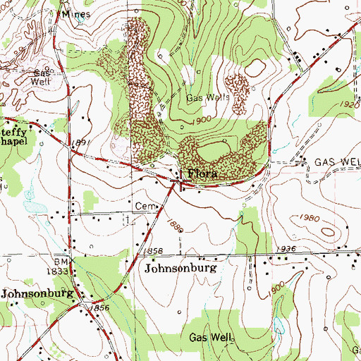 Topographic Map of Flora, PA