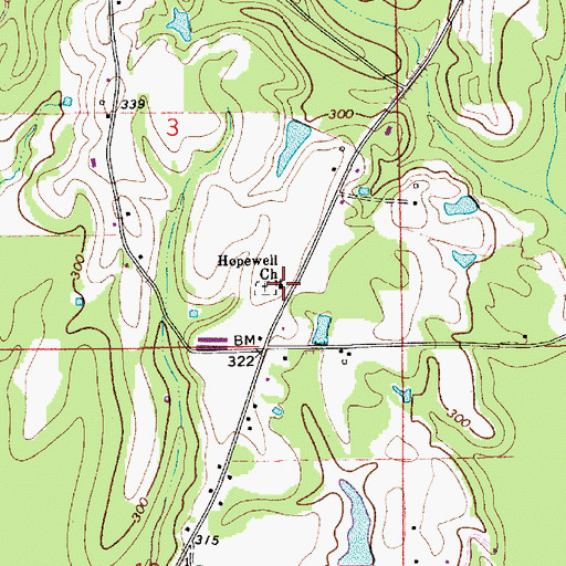 Topographic Map of Hopewell Church, AL