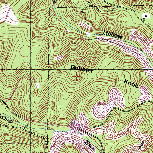 Topographic Map of Gobbler Knob, PA