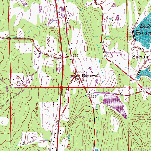 Topographic Map of Hopewell Church, AL