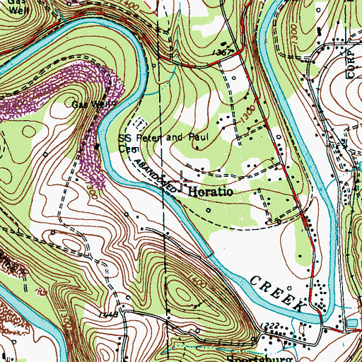 Topographic Map of Horatio, PA