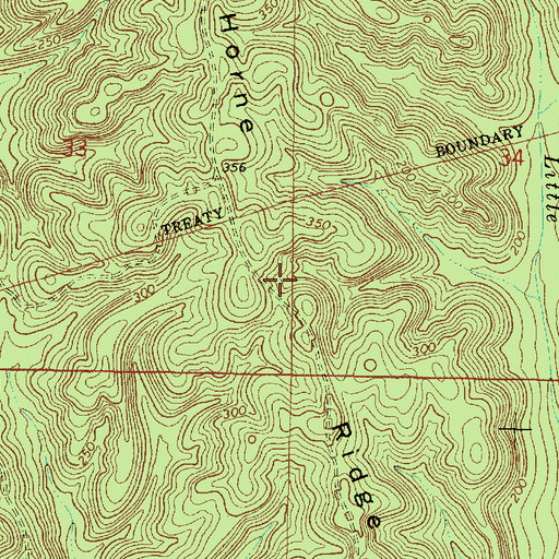 Topographic Map of Horne Ridge, AL