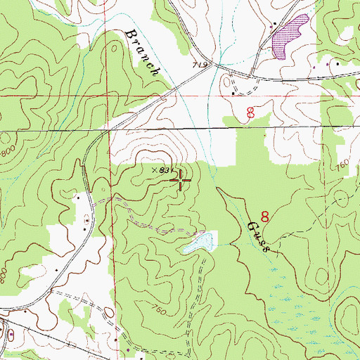 Topographic Map of Hornyhead Branch, AL