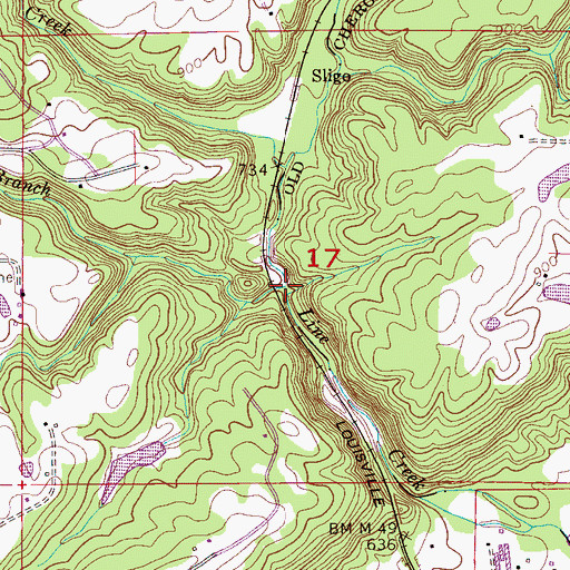 Topographic Map of Horsepen Branch, AL