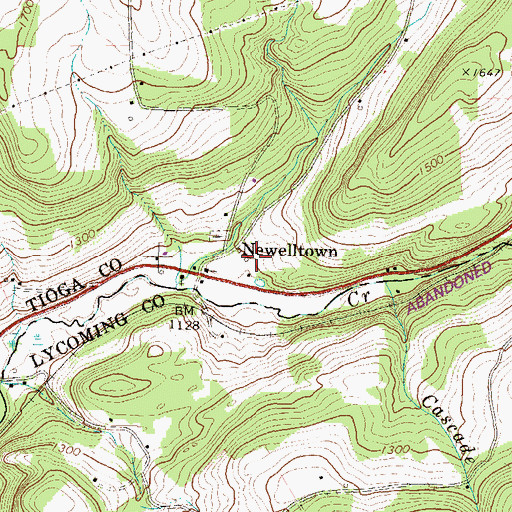 Topographic Map of Newelltown, PA