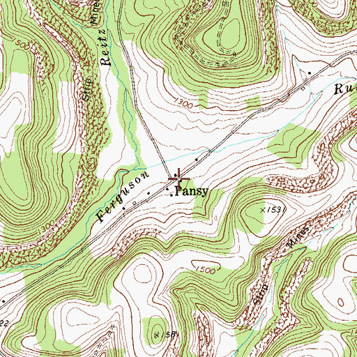 Topographic Map of Pansy, PA