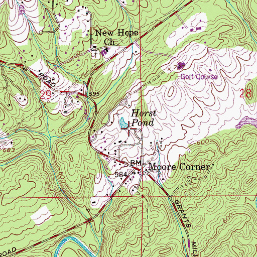 Topographic Map of Horst Pond, AL