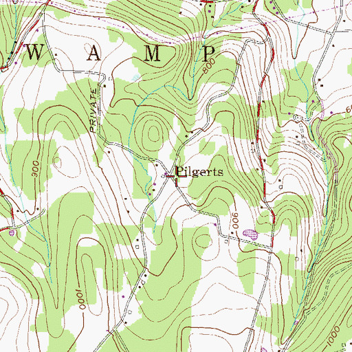 Topographic Map of Pilgerts, PA
