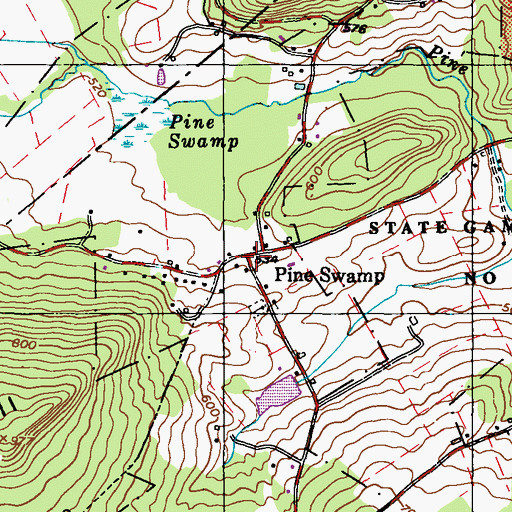 Topographic Map of Pine Swamp, PA