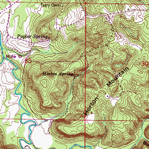 Topographic Map of Horton Spring, AL