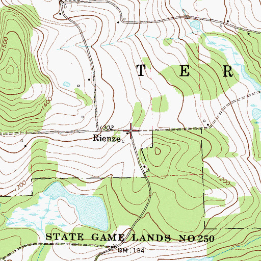 Topographic Map of Rienze, PA