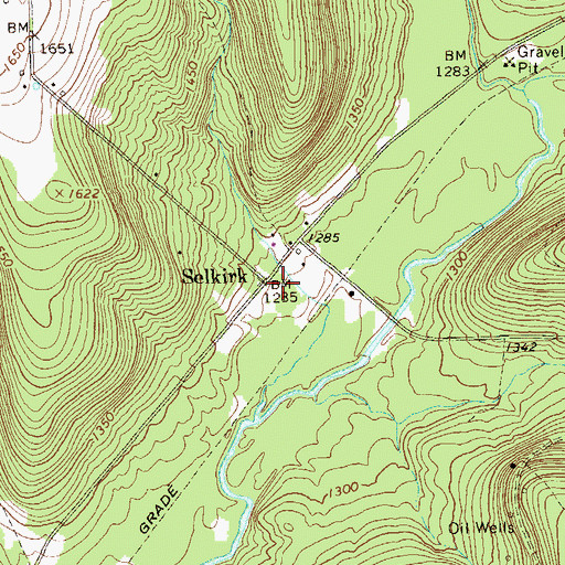 Topographic Map of Selkirk, PA