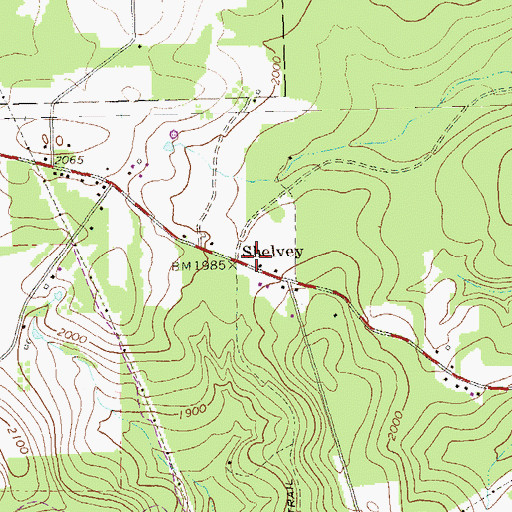 Topographic Map of Shelvey, PA