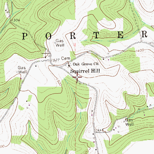 Topographic Map of Squirrel Hill, PA