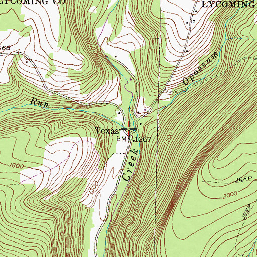 Topographic Map of Texas, PA