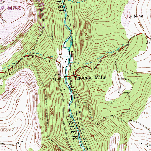 Topographic Map of Thomas Mills, PA