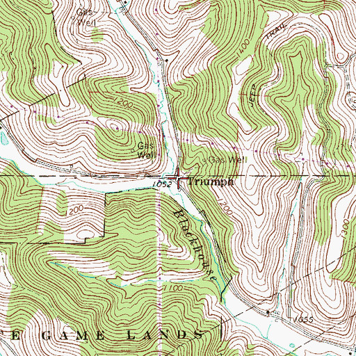 Topographic Map of Triumph, PA