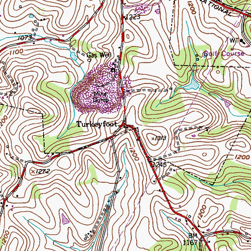 Topographic Map of Turkeyfoot, PA