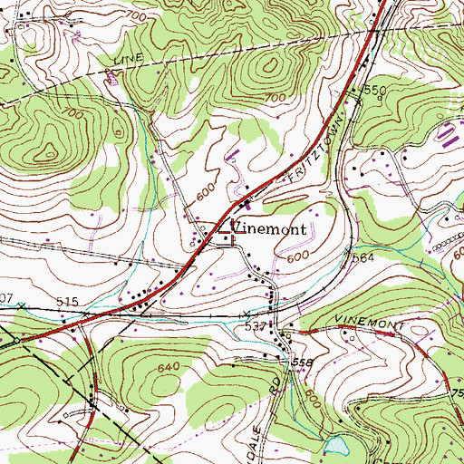 Topographic Map of Vinemont, PA