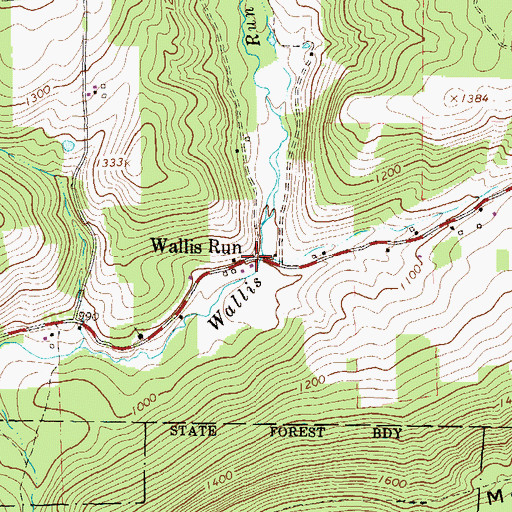 Topographic Map of Wallis Run, PA