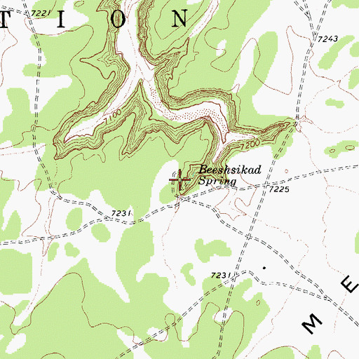 Topographic Map of Beeshsikad Spring, AZ