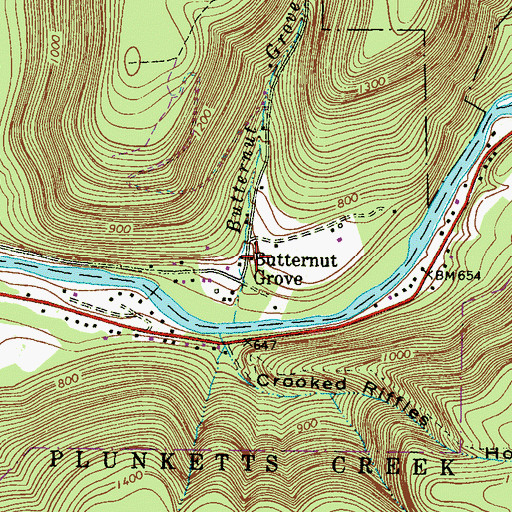 Topographic Map of Butternut Grove, PA