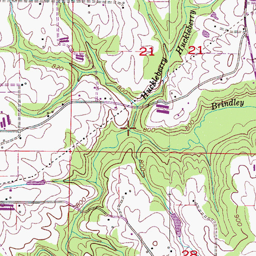 Topographic Map of Huckleberry Branch, AL