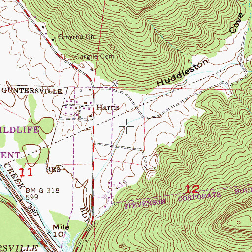 Topographic Map of Huddleston Cove, AL