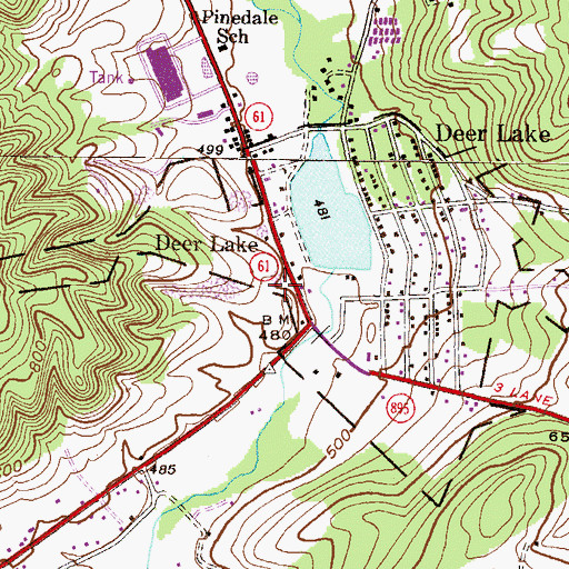 Topographic Map of Deer Lake Fossil Site, PA