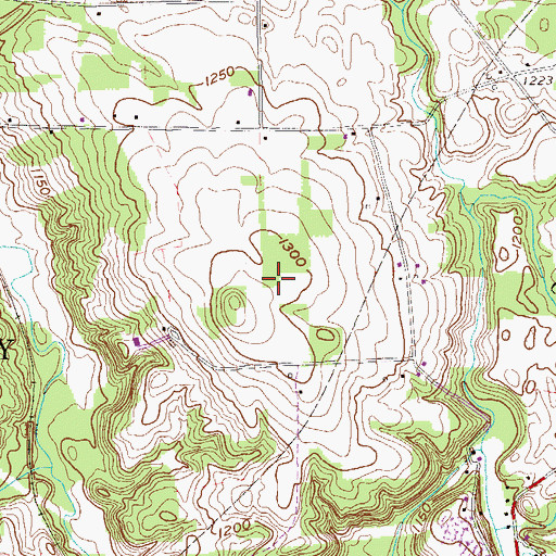 Topographic Map of Long School, PA